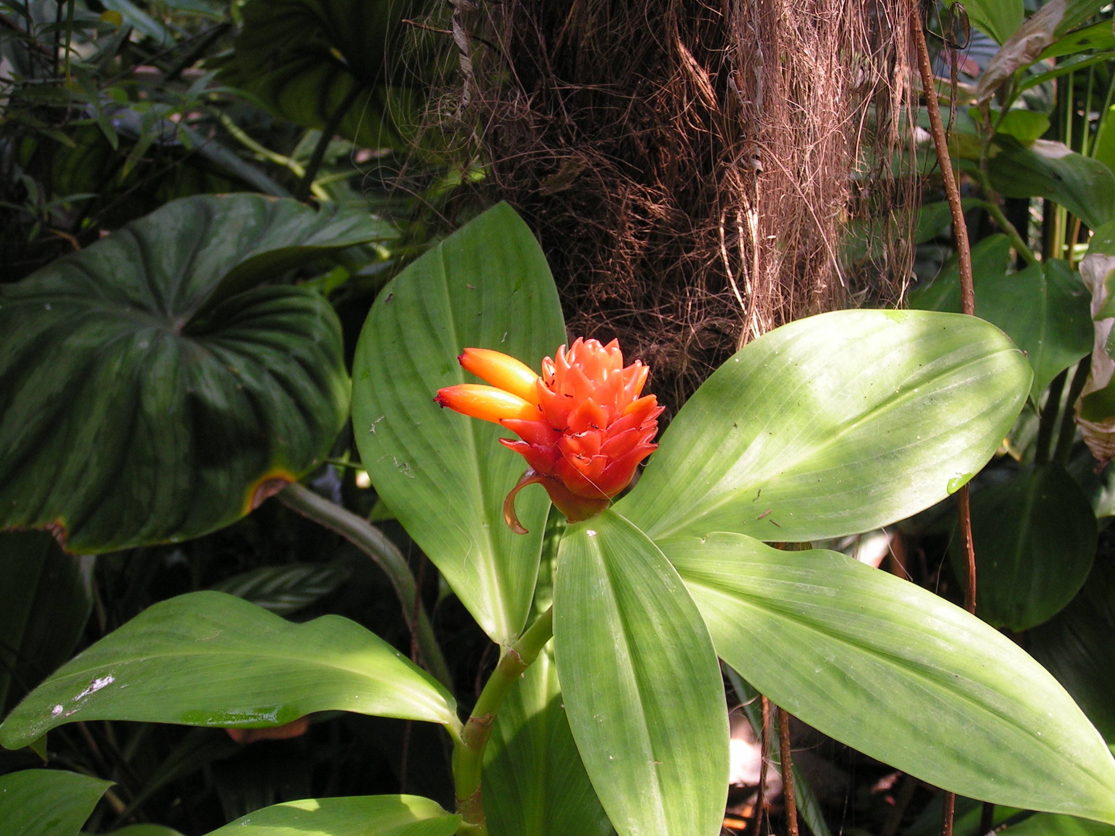 ./2006/EMMMS Zoo/PattieZooPics0007.JPG